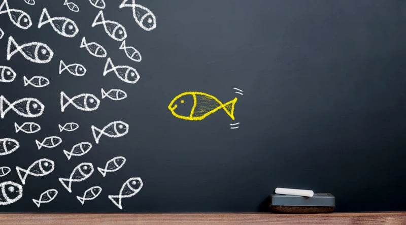 Coaching and Mentoring